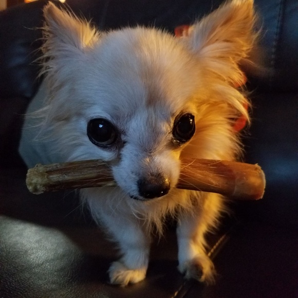 Venezia brand black hoodie size 14/16 - NEW - Picture 6 of 10